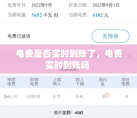 电费是否实时到账了,电费实时到账吗