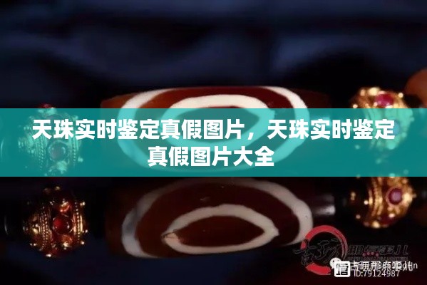 天珠实时鉴定真假图片，天珠实时鉴定真假图片大全 