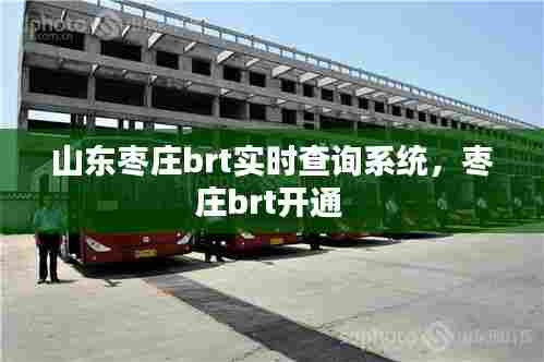 山东枣庄brt实时查询系统，枣庄brt开通 