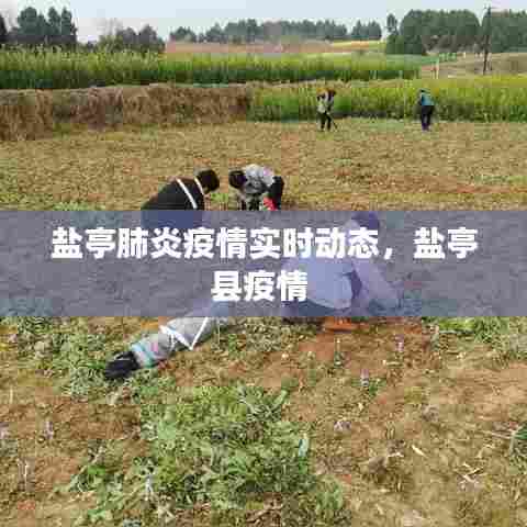 盐亭肺炎疫情实时动态，盐亭县疫情 