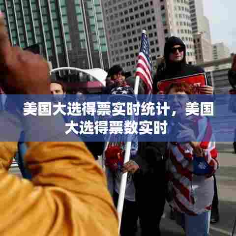 美国大选得票实时统计,美国大选得票数实时