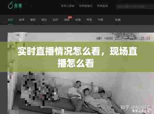 实时直播情况怎么看，现场直播怎么看 
