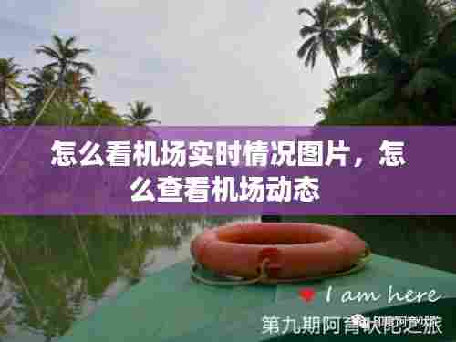 怎么看机场实时情况图片，怎么查看机场动态 