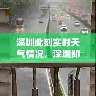 深圳此刻实时天气情况，深圳即时天气实况 