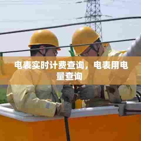 电表实时计费查询，电表用电量查询 