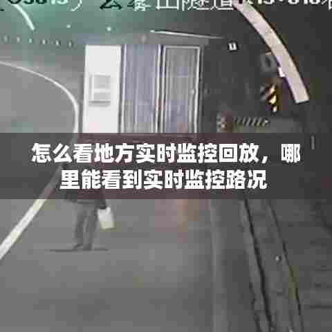 怎么看地方实时监控回放,哪里能看到实时监控路况