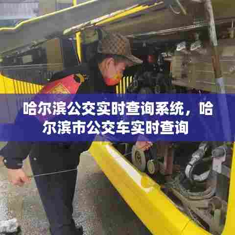 哈尔滨公交实时查询系统，哈尔滨市公交车实时查询 