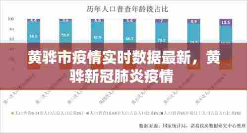 黄骅市疫情实时数据最新，黄骅新冠肺炎疫情 