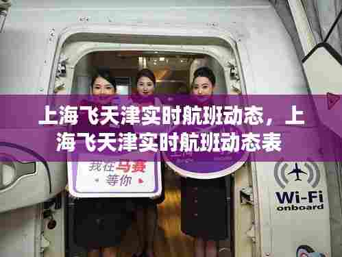 上海飞天津实时航班动态，上海飞天津实时航班动态表 