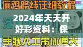 2024年天天开好彩资料：保持活力与激情的日常技巧
