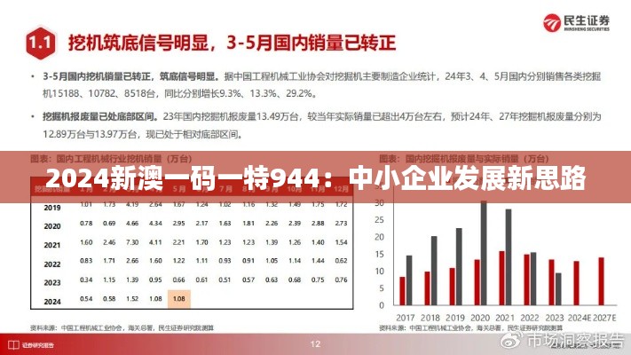2024新澳一码一特944：中小企业发展新思路