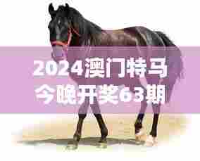 2024澳门特马今晚开奖63期：马匹竞速，特马63期的速度与热情