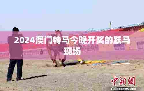 2024澳门特马今晚开奖的跃马现场