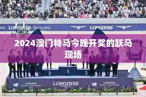 2024澳门特马今晚开奖的跃马现场