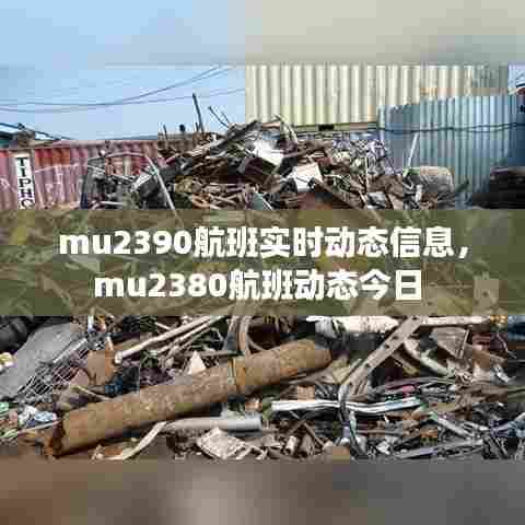 mu2390航班实时动态信息，mu2380航班动态今日 