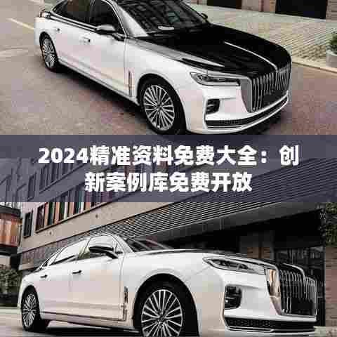 2024精准资料免费大全：创新案例库免费开放