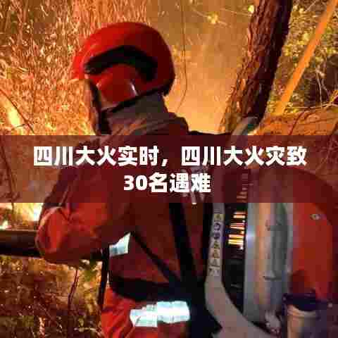 四川大火实时,四川大火灾致30名遇难