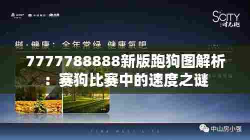 7777788888新版跑狗图解析：赛狗比赛中的速度之谜