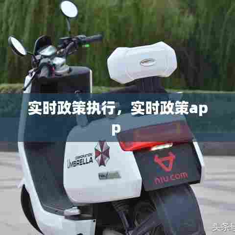 实时政策执行，实时政策app 