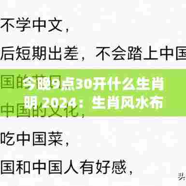 今晚9点30开什么生肖明 2024：生肖风水布局与能量平衡