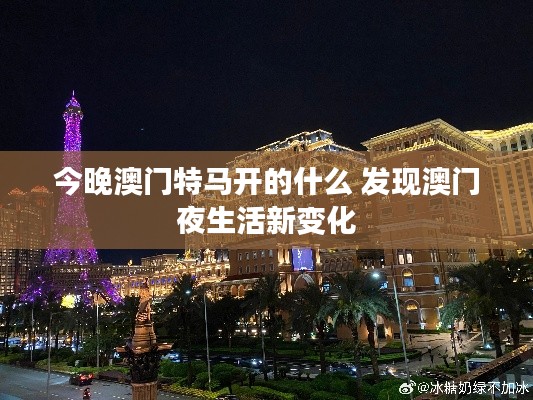 今晚澳门特马开的什么 发现澳门夜生活新变化