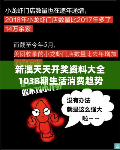 新澳天天开奖资料大全1038期生活消费趋势
