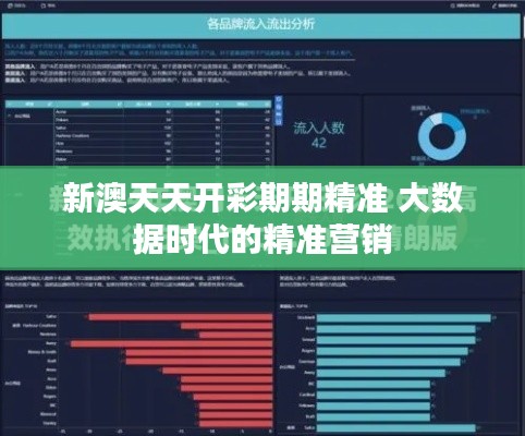 新澳天天开彩期期精准 大数据时代的精准营销