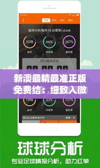 新澳最精最准正版免费结：细致入微的数据分析专家