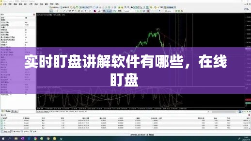 实时盯盘讲解软件有哪些，在线盯盘 