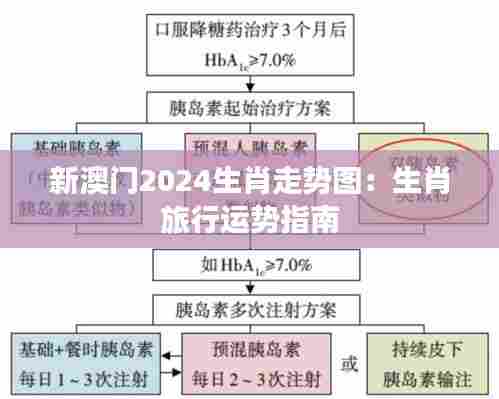 新澳门2024生肖走势图：生肖旅行运势指南