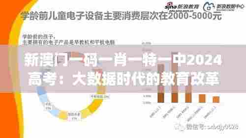 新澳门一码一肖一特一中2024高考：大数据时代的教育改革