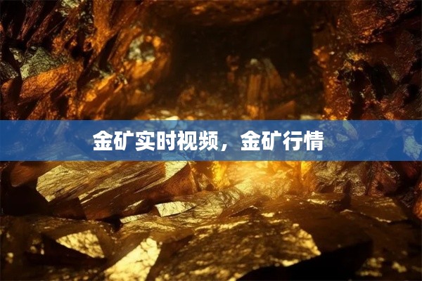 金矿实时视频,金矿行情