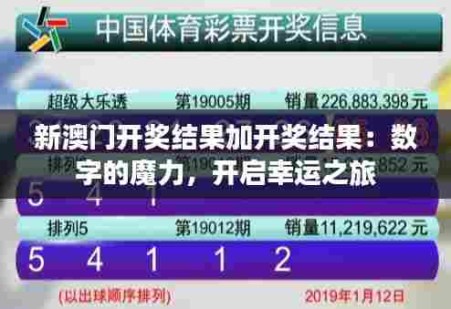 环肥燕瘦 第7页