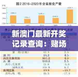 新澳门最新开奖记录查询：赌场数字的统计学入门