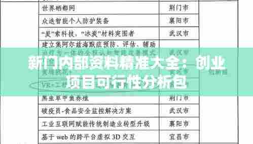 新门内部资料精准大全：创业项目可行性分析包
