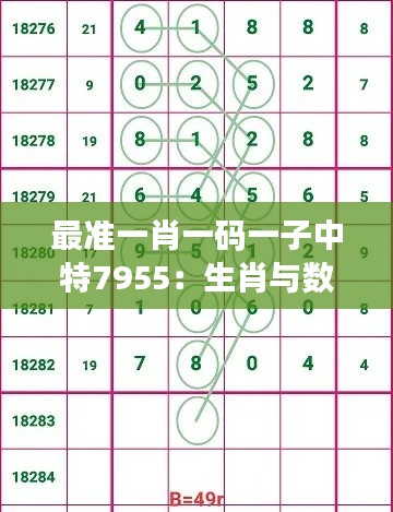 最准一肖一码一子中特7955：生肖与数字的神秘代码