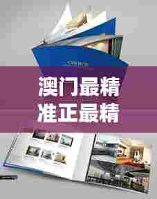 澳门最精准正最精准龙门图库，探索澳门的历史风情画册