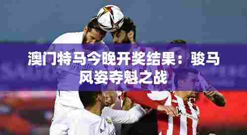 澳门特马今晚开奖结果：骏马风姿夺魁之战