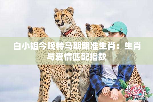 白小姐今晚特马期期准生肖：生肖与爱情匹配指数