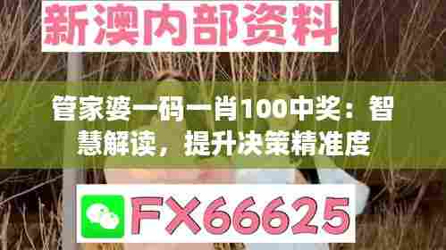 管家婆一码一肖100中奖：智慧解读，提升决策精准度