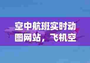 空中航班实时动图网站，飞机空中航线图 