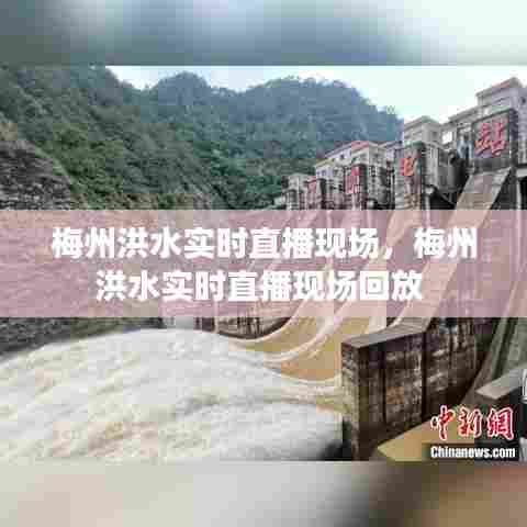 梅州洪水实时直播现场，梅州洪水实时直播现场回放 