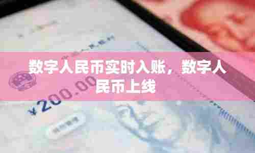 数字人民币实时入账，数字人民币上线 