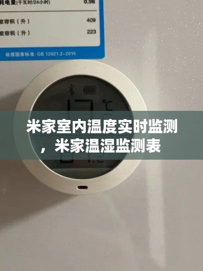 米家室内温度实时监测，米家温湿监测表 