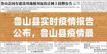 鲁山县实时疫情报告公布,鲁山县疫情最新消息29号