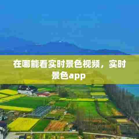 在哪能看实时景色视频，实时景色app 
