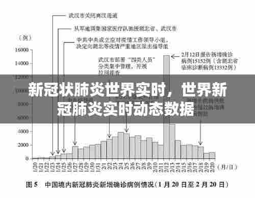 新冠状肺炎世界实时，世界新冠肺炎实时动态数据 