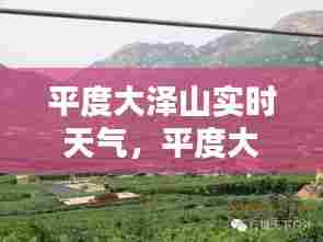 平度大泽山实时天气，平度大泽山位置 