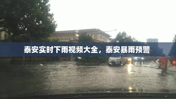 泰安实时下雨视频大全，泰安暴雨预警 