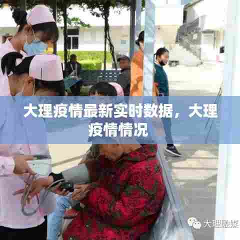 大理疫情最新实时数据，大理疫情情况 